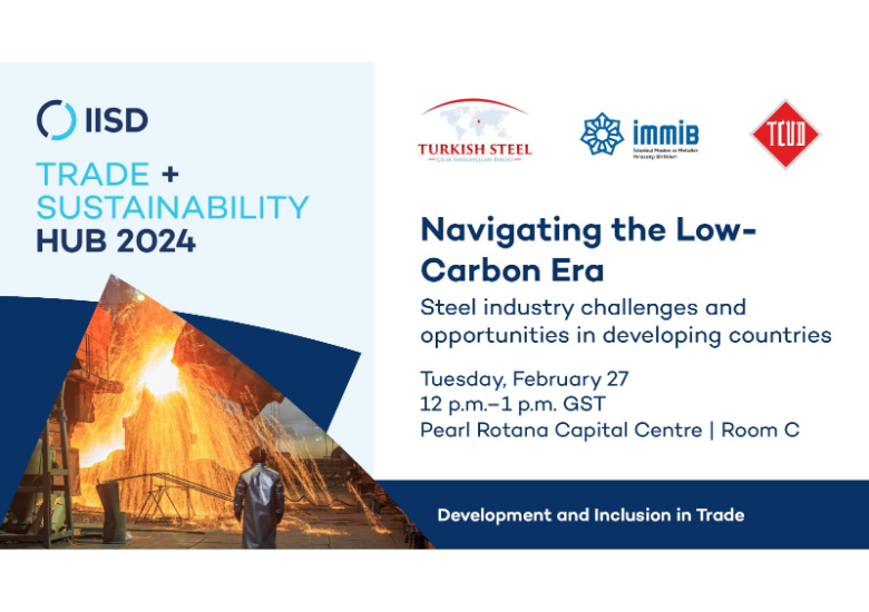 Navigating the Low Carbon Era: Steel Industry Challenges and Opportunities in developing countries